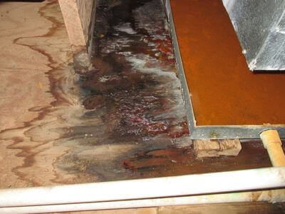 About water damage restoration service - commercial water damage restoration experts in Gloucester
